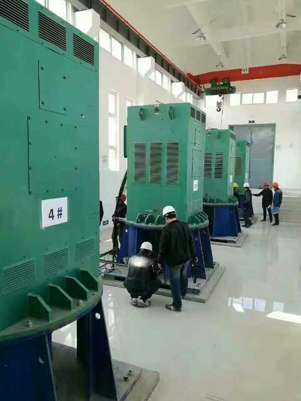福海某污水处理厂使用我厂的立式高压电机安装现场